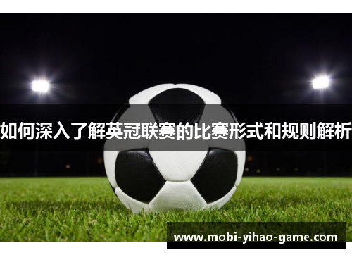 如何深入了解英冠联赛的比赛形式和规则解析